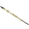 BOUGIE DE PRÉCHAUFFAGE POUR CITROEN JUMPER 06