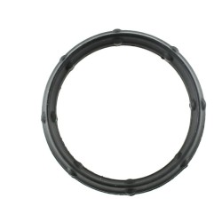 JOINT D`ÉTANCHÉITÉ, COLLECTEUR D`ADMISSION POUR RENAULT MASTER II 98