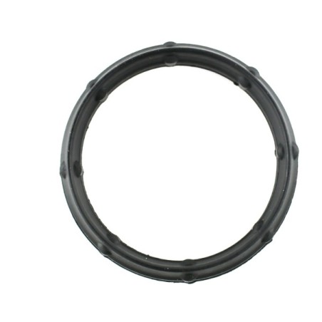 JOINT D`ÉTANCHÉITÉ, COLLECTEUR D`ADMISSION POUR RENAULT MASTER II 98