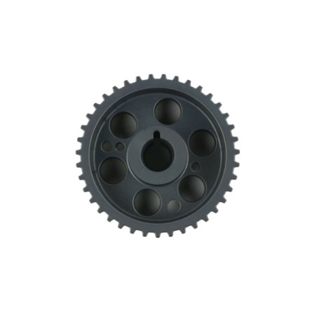 ROUE DENTEE, POULIE DISTRIBUTION POUR FIAT DOBLO 09