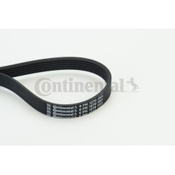 COURROIE TRAPÉZOÏDALE À NERVURES POUR FIAT BRAVO 07