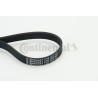 COURROIE TRAPÉZOÏDALE À NERVURES POUR FIAT BRAVO 07