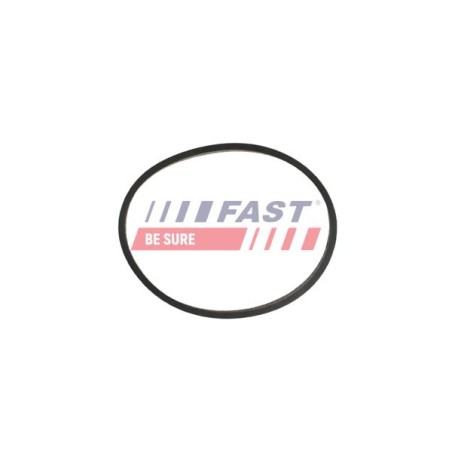 JOINT D`ÉTANCHÉITÉ, COLLECTEUR D`ADMISSION POUR FIAT DUCATO 14