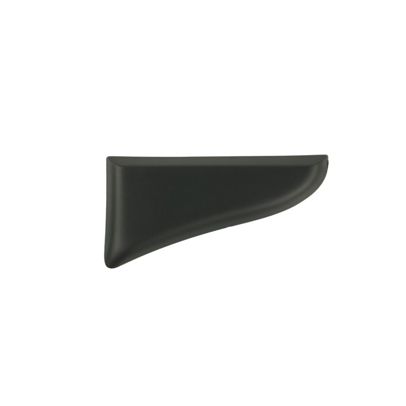 MOULURE EXTERIEUR POUR FIAT DUCATO 06