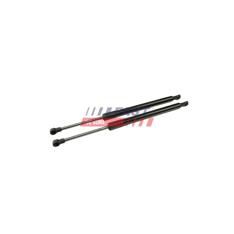 VÉRIN, PORTE PAPILLON POUR BMW 3 E90 04