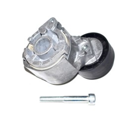 TENDEUR DE COURROIE TRAPÉZOÏDALE À NERVURES POUR FIAT STILO 01