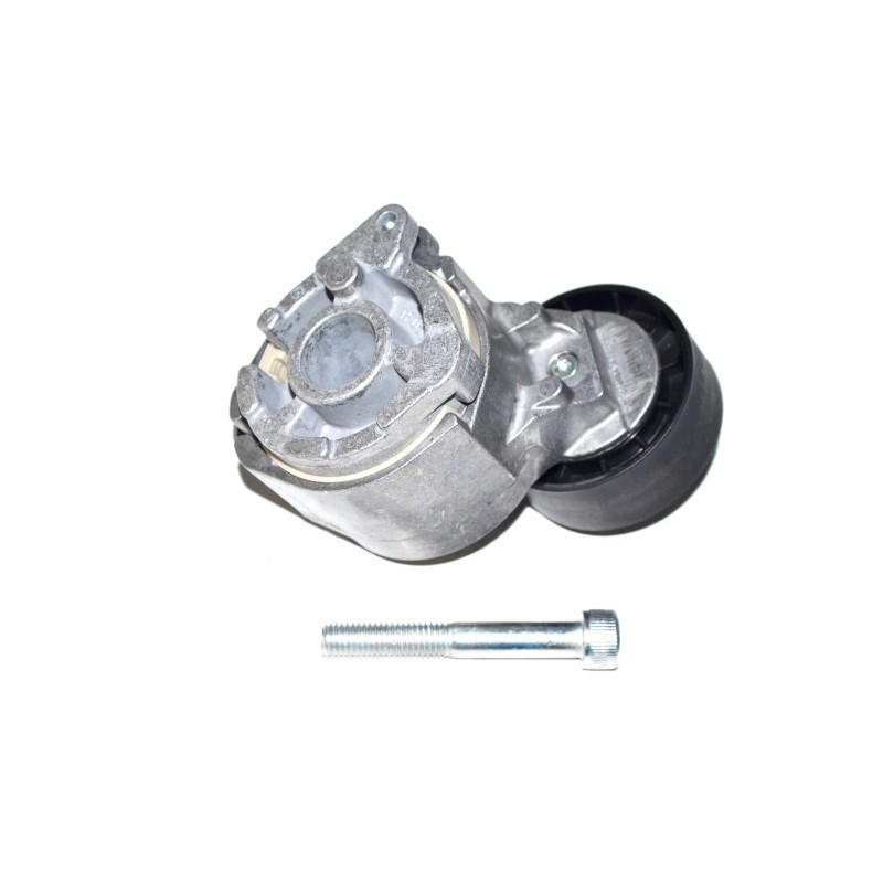 TENDEUR DE COURROIE TRAPÉZOÏDALE À NERVURES POUR FIAT STILO 01