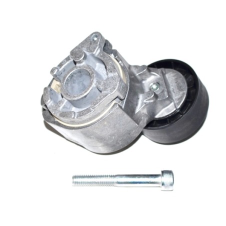 TENDEUR DE COURROIE TRAPÉZOÏDALE À NERVURES POUR FIAT STILO 01