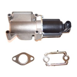 VANNE EGR POUR FIAT DOBLO 00