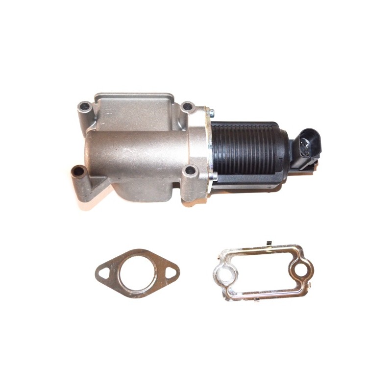 VANNE EGR POUR FIAT DOBLO 00