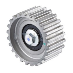 TENDEUR, COURROIE CRANTÉE POUR FIAT DUCATO 06