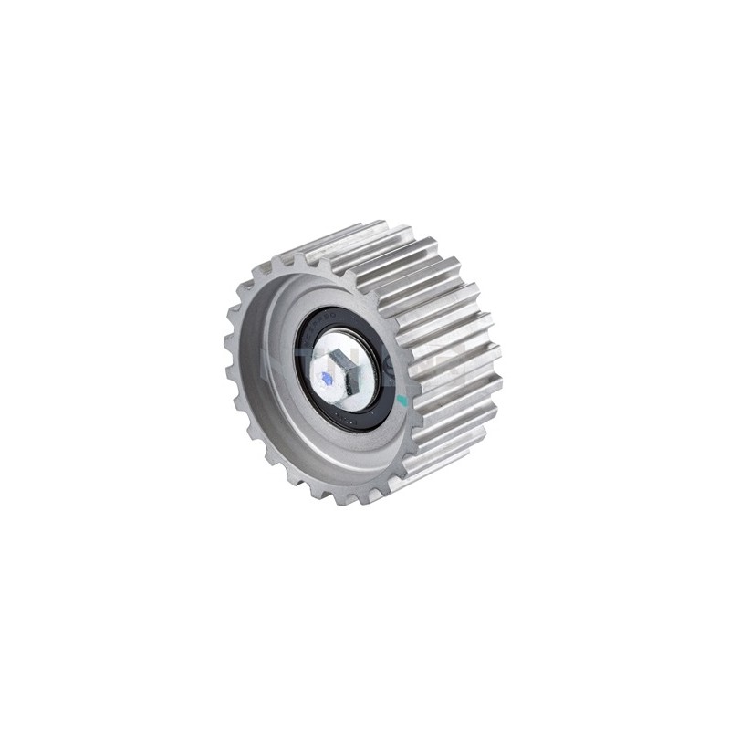 TENDEUR, COURROIE CRANTÉE POUR FIAT DUCATO 06