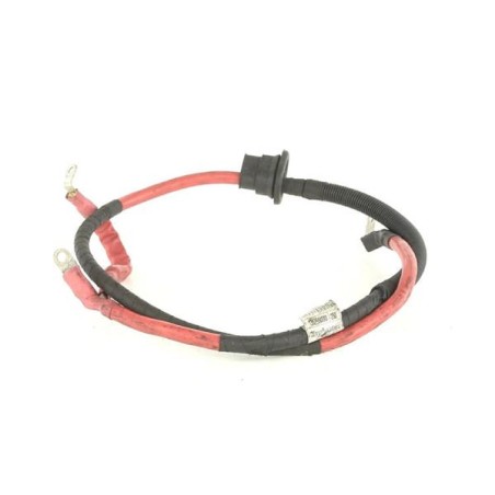 FAISEAU CÂBLES ALTERNATEUR POUR FIAT DUCATO 06