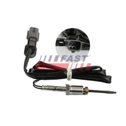 PTEUR, TEMPÉRATURE DES GAZ POUR RENAULT MASTER III 10