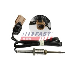 PTEUR, TEMPÉRATURE DES GAZ POUR RENAULT MASTER III 10
