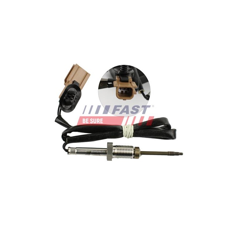 PTEUR, TEMPÉRATURE DES GAZ POUR RENAULT MASTER III 10