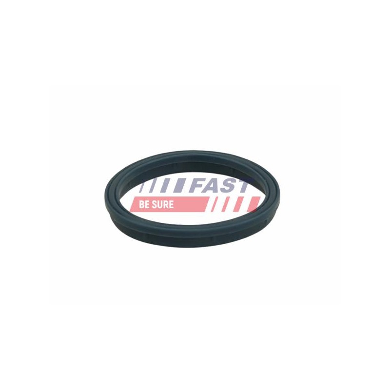 JOINT D`ÉTANCHÉITÉ, COLLECTEUR D`ADMISSION POUR FORD TRANSIT 00