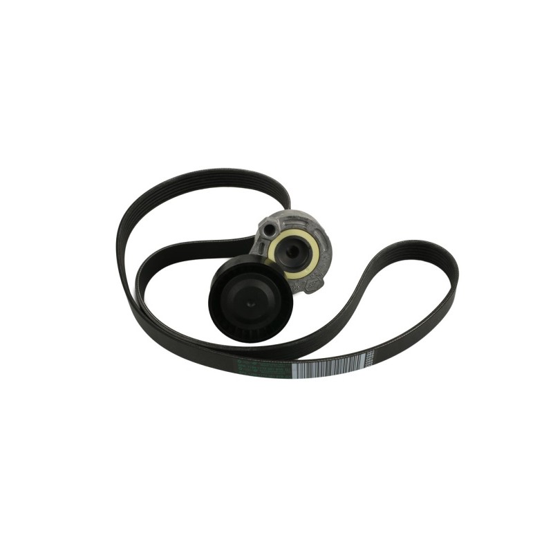 COURROIE TRAPÉZOÏDALE À NERVURES POUR RENAULT KANGOO II 08