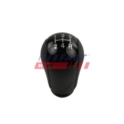 POMMEAU DE LEVIER DE VITESSE POUR FORD TRANSIT 06