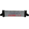 INTERCOOLER POUR IVECO DAILY 06