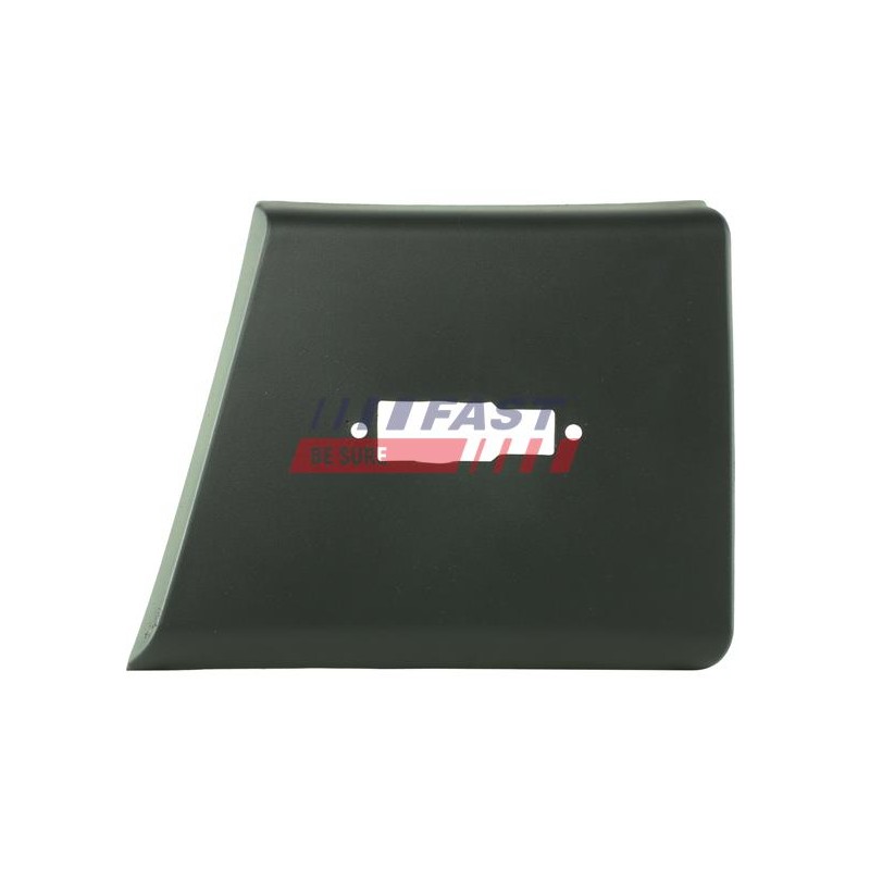 MOULURE EXTERIEUR POUR FIAT DUCATO 06