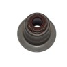 BAGUE D`ÉTANCHÉITÉ, TIGE DE SOUPAPE POUR FIAT DUCATO 06