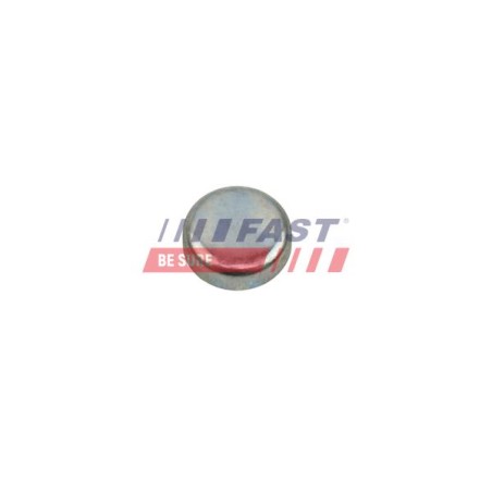 ENJOLIVEUR, MOTEUR POUR FIAT DUCATO 06