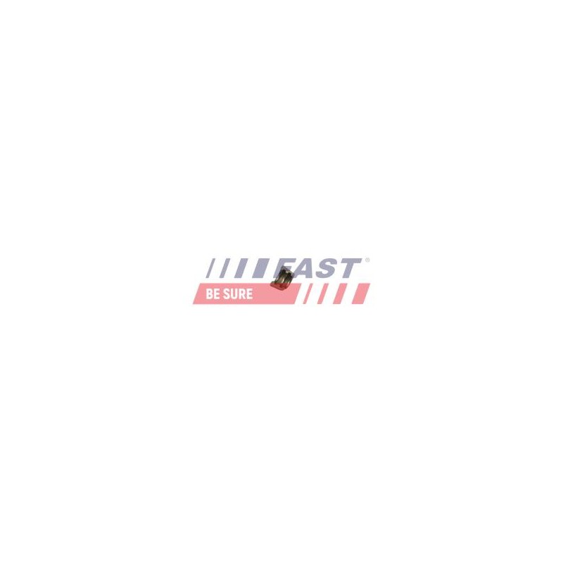 PROTECTION POUR IVECO DAILY 06
