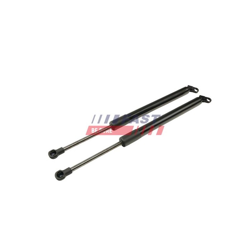 VÉRIN, PORTE PAPILLON POUR BMW 5 E39 95