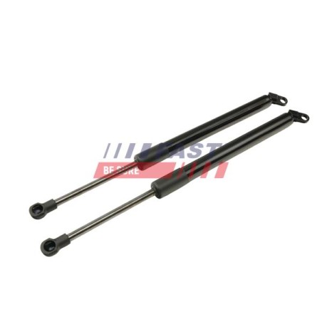 VÉRIN, PORTE PAPILLON POUR BMW 5 E39 95