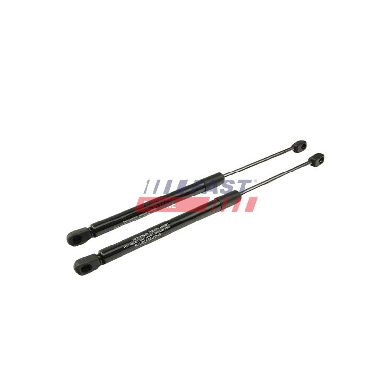 VÉRIN, PORTE PAPILLON POUR RENAULT CLIO II 98
