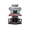 VANNE EGR POUR FIAT DUCATO 06