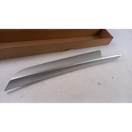 Pièce pour BMW - Ornamental Trim 51419112433