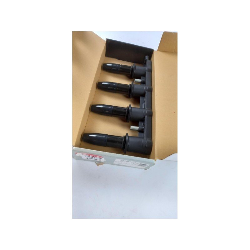 Pièce pour DELPHI - Ignition Coil GN10234-12B1