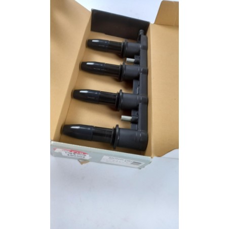 Pièce pour DELPHI - Ignition Coil GN10234-12B1