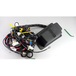 Pièce pour FIAT GROUP - Cable Harness 1366416080