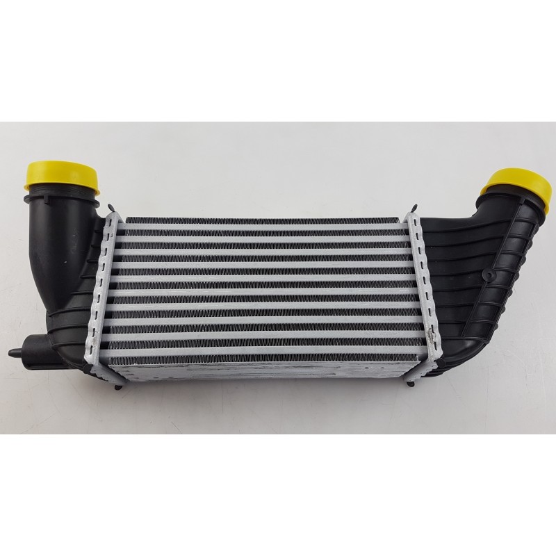 Pièce pour FIAT GROUP - Intercooler, Charger 1440094280