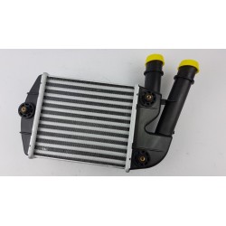 Pièce pour FIAT GROUP - Intercooler, Charger 46823259