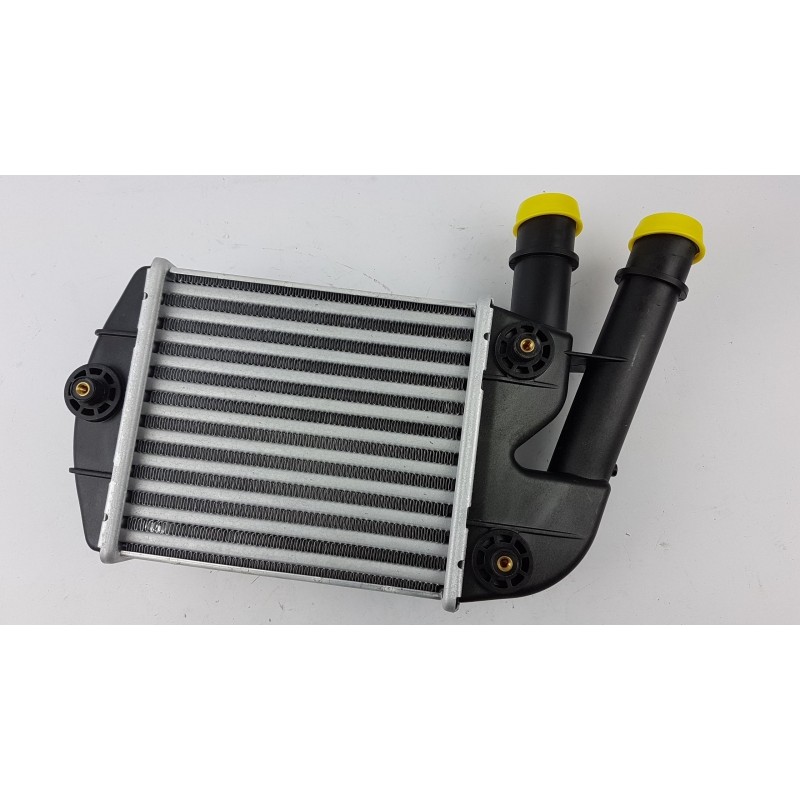 Pièce pour FIAT GROUP - Intercooler, Charger 46823259