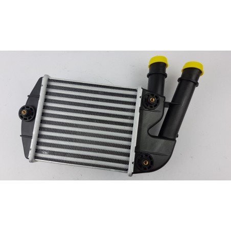 Pièce pour FIAT GROUP - Intercooler, Charger 46823259