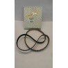 Pièce pour FIAT GROUP - Timing Belt 55200072