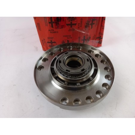 Pièce pour FIAT GROUP - Plate 71718404