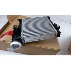 Pièce pour FIAT GROUP - Intercooler, Charger 9675627980