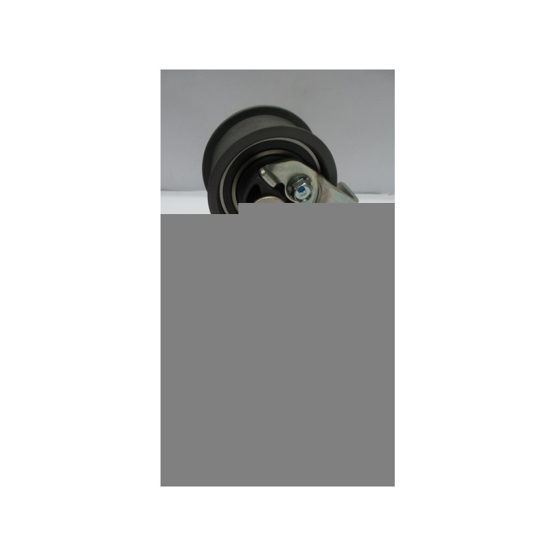 Pièce pour FORD - Belt Tensioner/Pulley 1119021