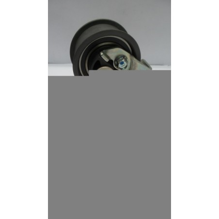 Pièce pour FORD - Belt Tensioner/Pulley 1119021