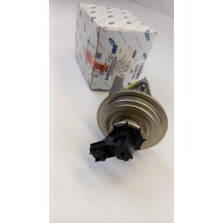 Pièce pour FORD - EGR Valve 1198145