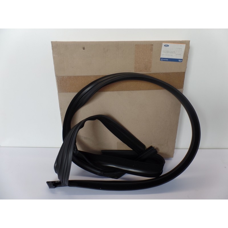 Pièce pour FORD - Seal, Door Window 1434066