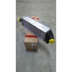 Pièce pour FORD - Intercooler, Charger 1671440