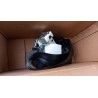 Pièce pour FORD - Seat Belt 1834425