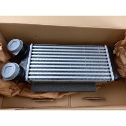 Pièce pour FORD - Intercooler, Charger 1878624